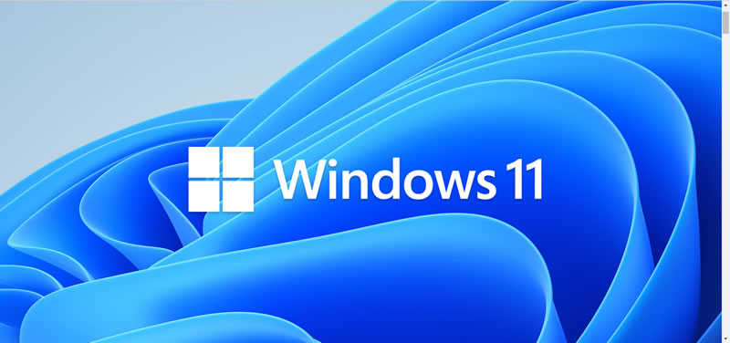 Windows 11 Logo