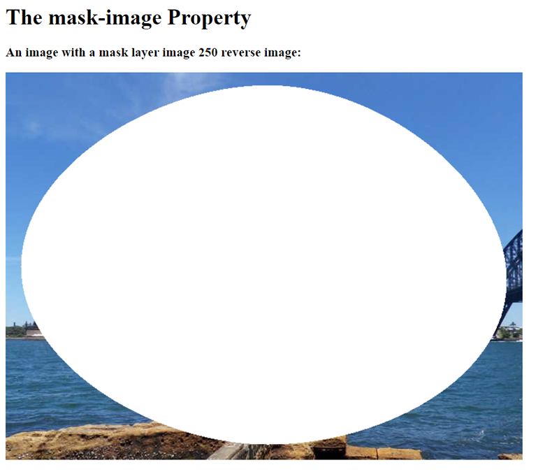 Mask 6 Ellipspe reververse