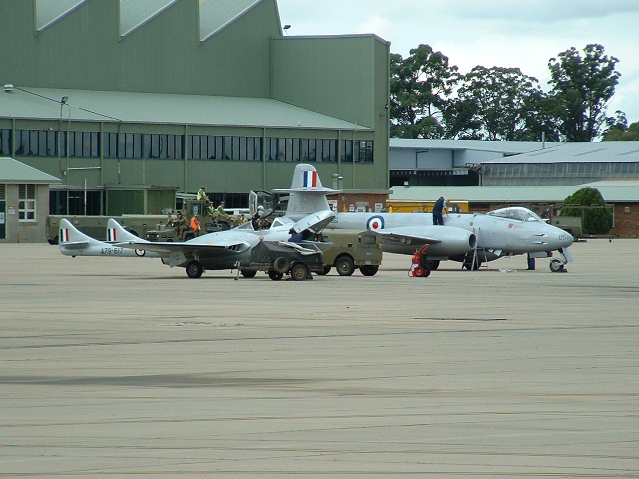 A Vampire and a Zabra at Richmond Air Show